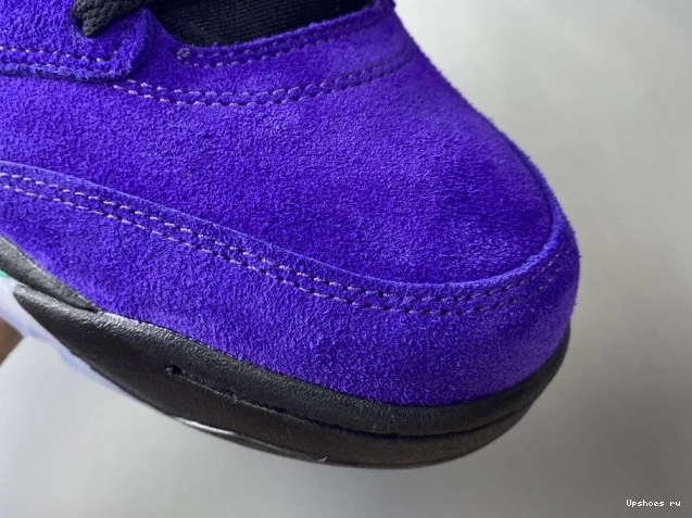 Jordan Retro Grape 136027-500 Alternate Air 5 0519